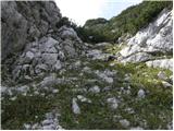 Koča pri Savici - Čelo